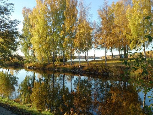 Utsnitt av Bottenån i Lindesberg i oktober 2013