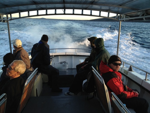 pelagic boat trip
