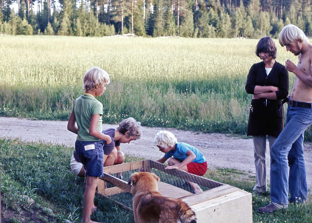 Beundran av Lasses kaninbur på Drabo sommaren1971026
