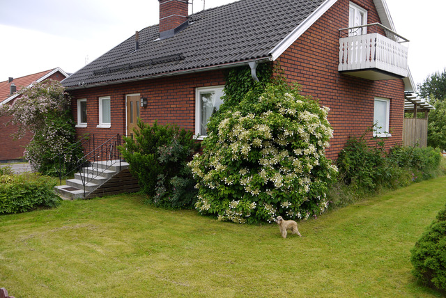 P1000435 mitt hus på Villagatan i Lindesberg sommaren 2012