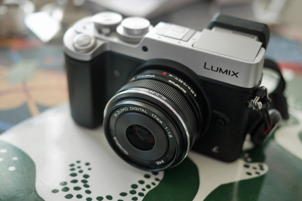 P1060112 Lumix GX8 och Olympus M.Zuiko Digital 17 mm. f 1,8.