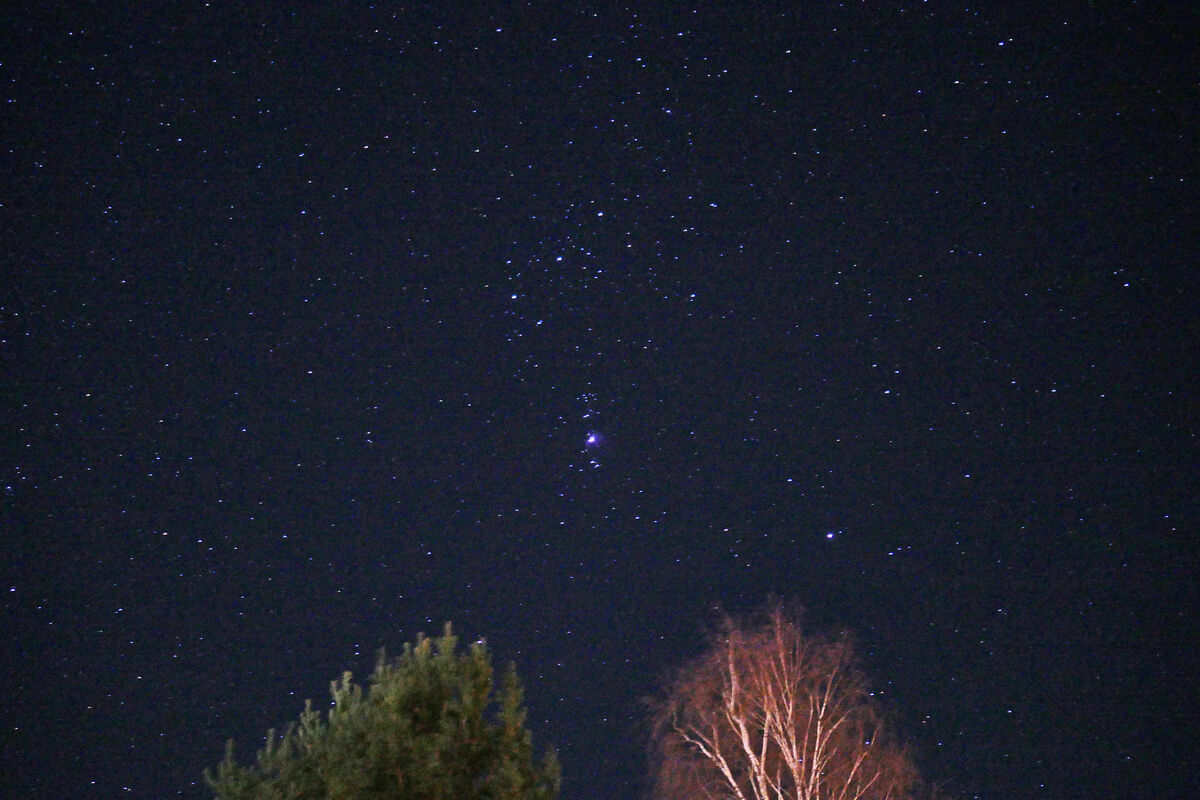 P1100670 Stjärnbilden Orion taget lite mot SV