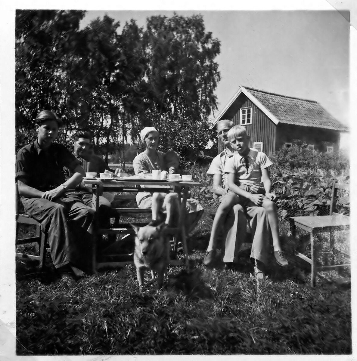 Dalsland 1944094 Kaffe i trädgården