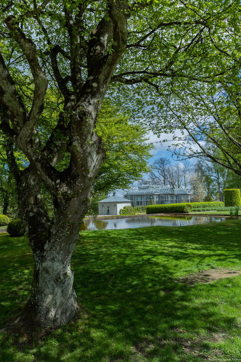Norrvikens trädgård