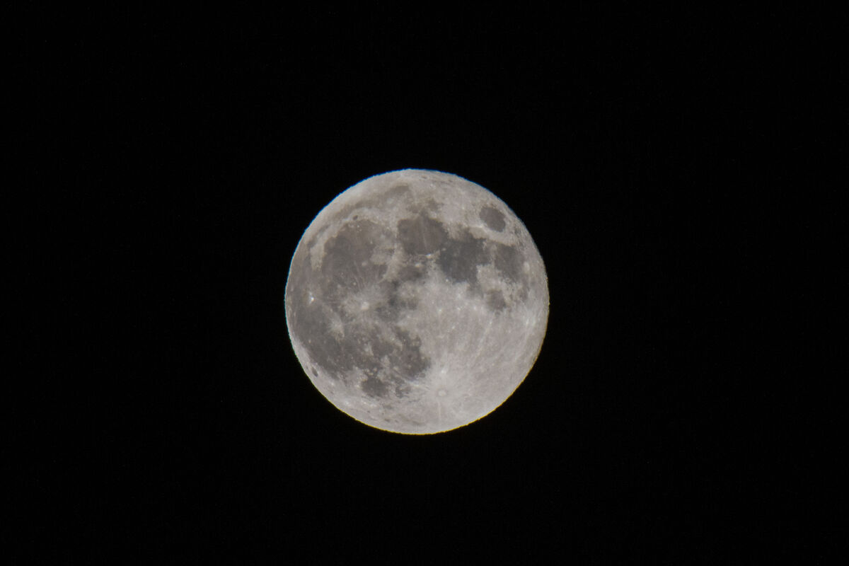DSC_4587 Fullmåne den 19 november 2021