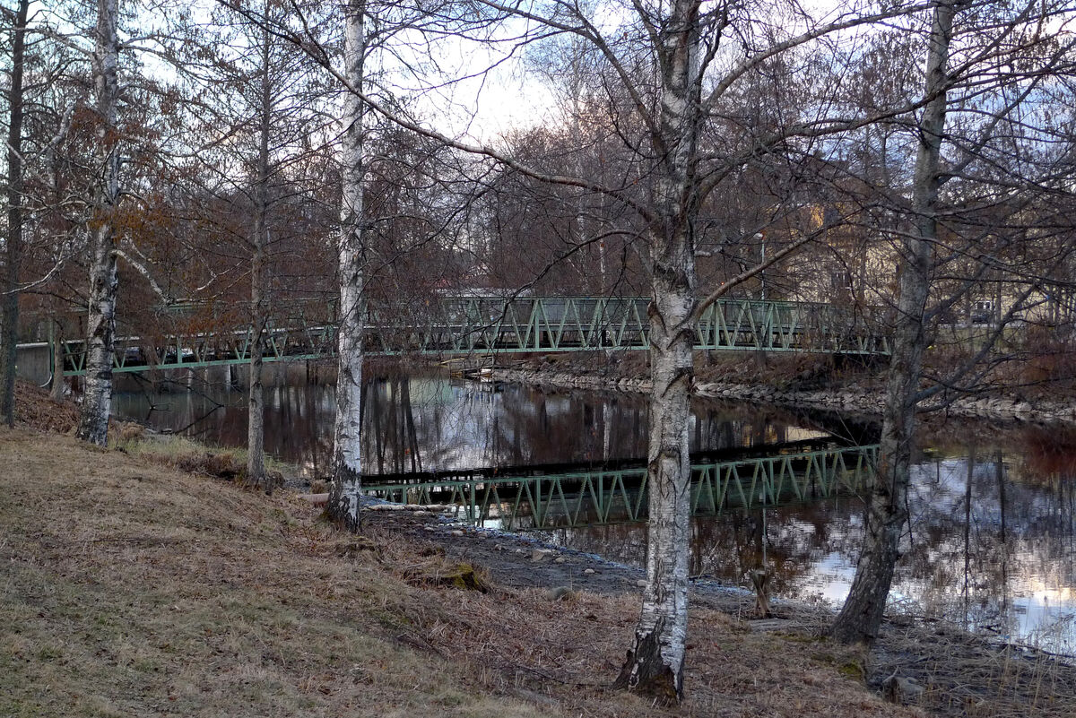 P1040470 Loppholmsbron och Bottenån 