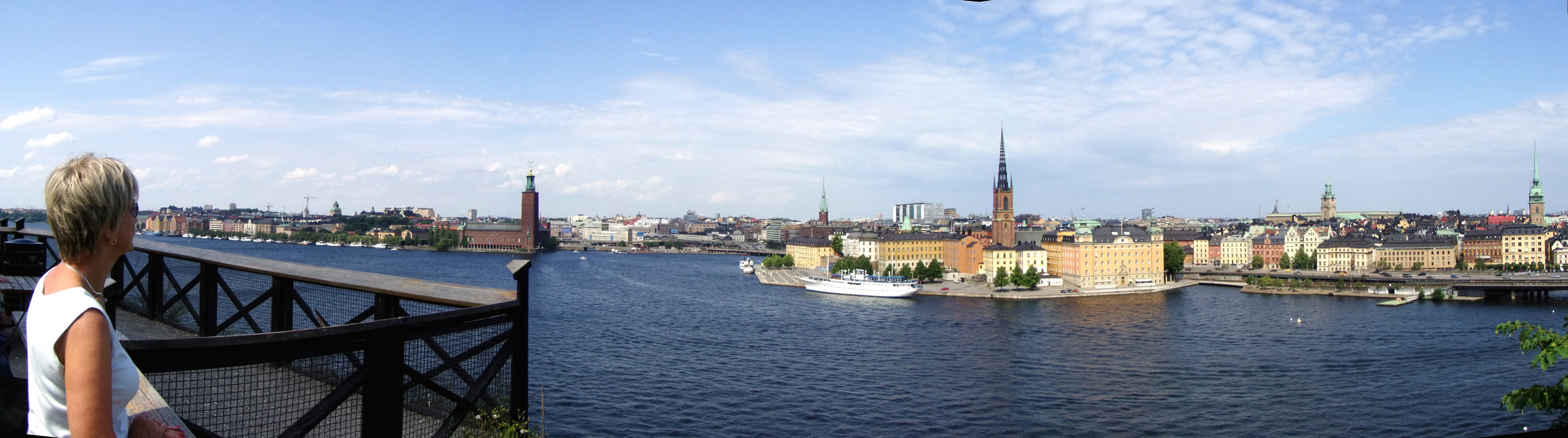 Panorama Lena blickar ut över Riddarfjärden från Söder