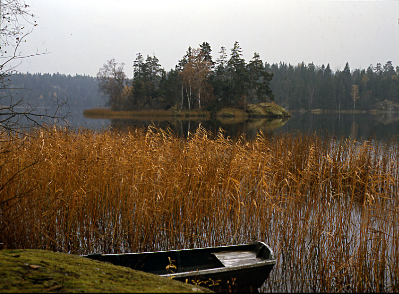 Höst vid sjön Hersen 1987 